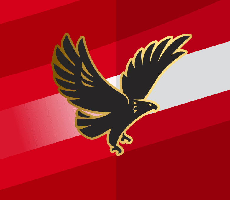 Al Ahly FC - Image 5
