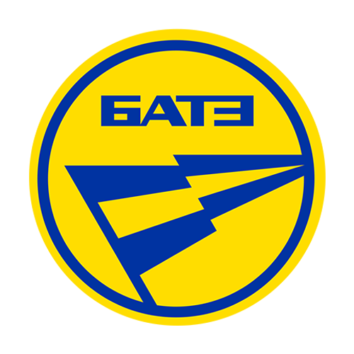 BATE Borisov FC - Image 5