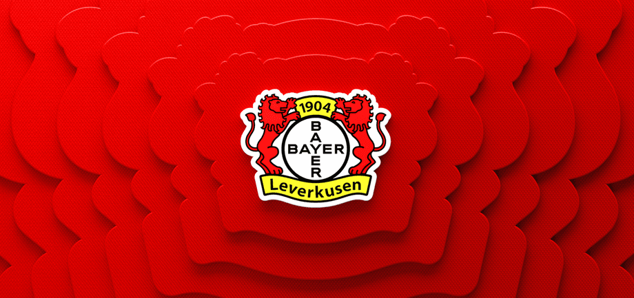 Bayer Leverkusen FC - Image 2