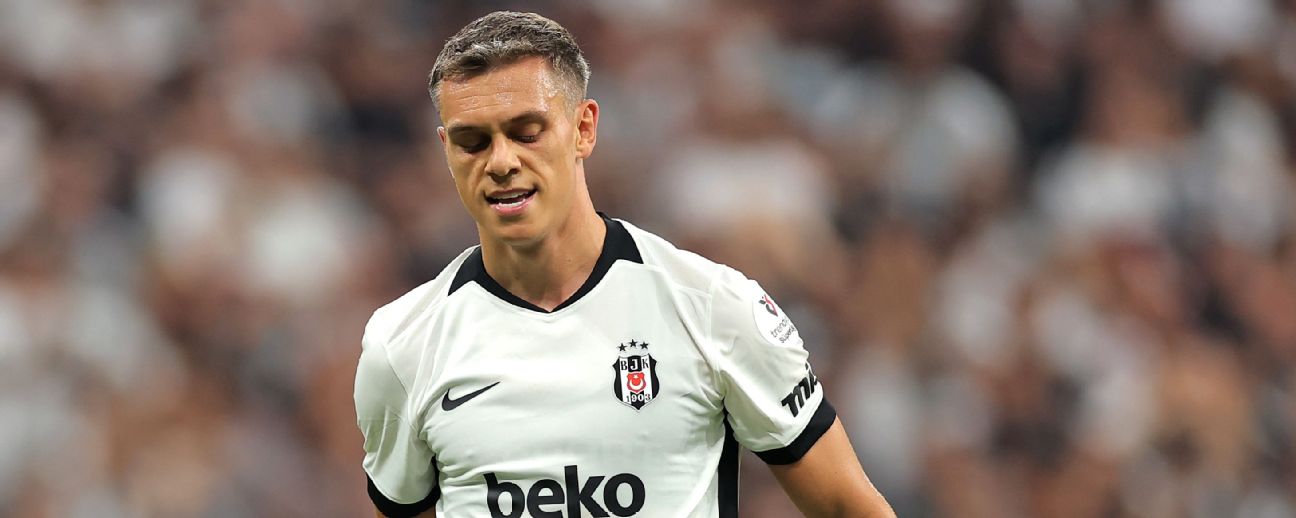Besiktas FC - Image 5