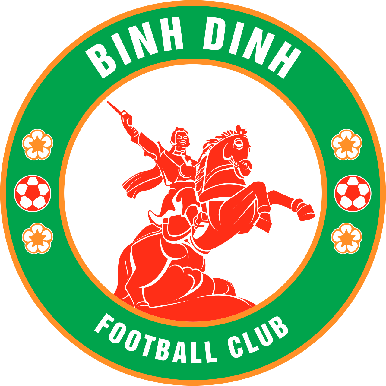 Binh Dinh FC - Image 1
