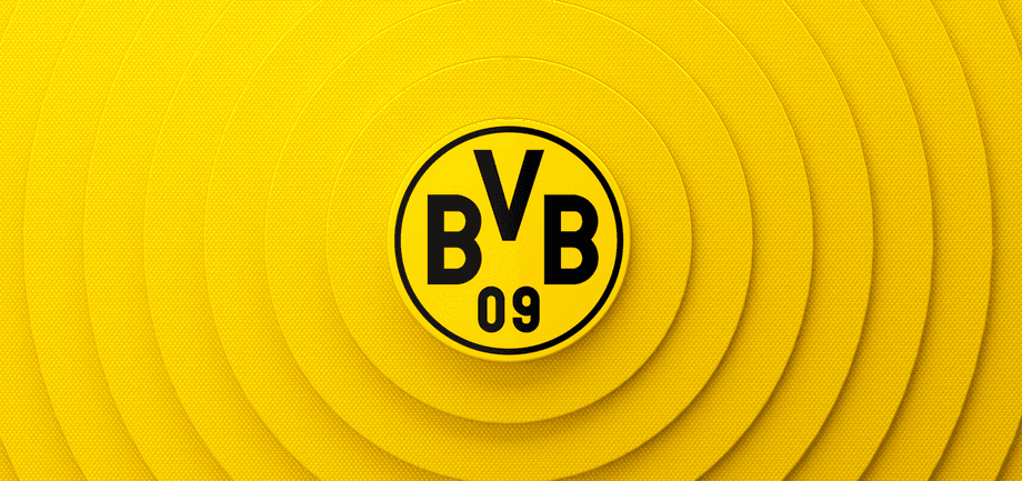 Borussia Dortmund FC - Image 2
