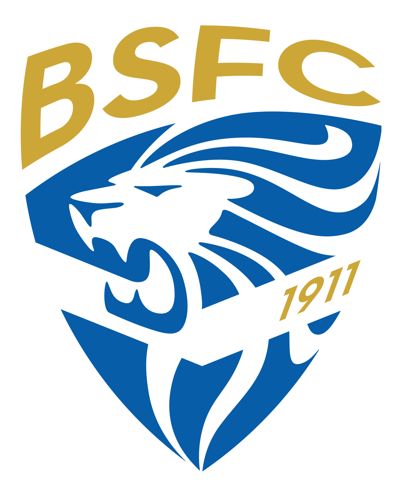 Brescia Calcio FC - Image 1