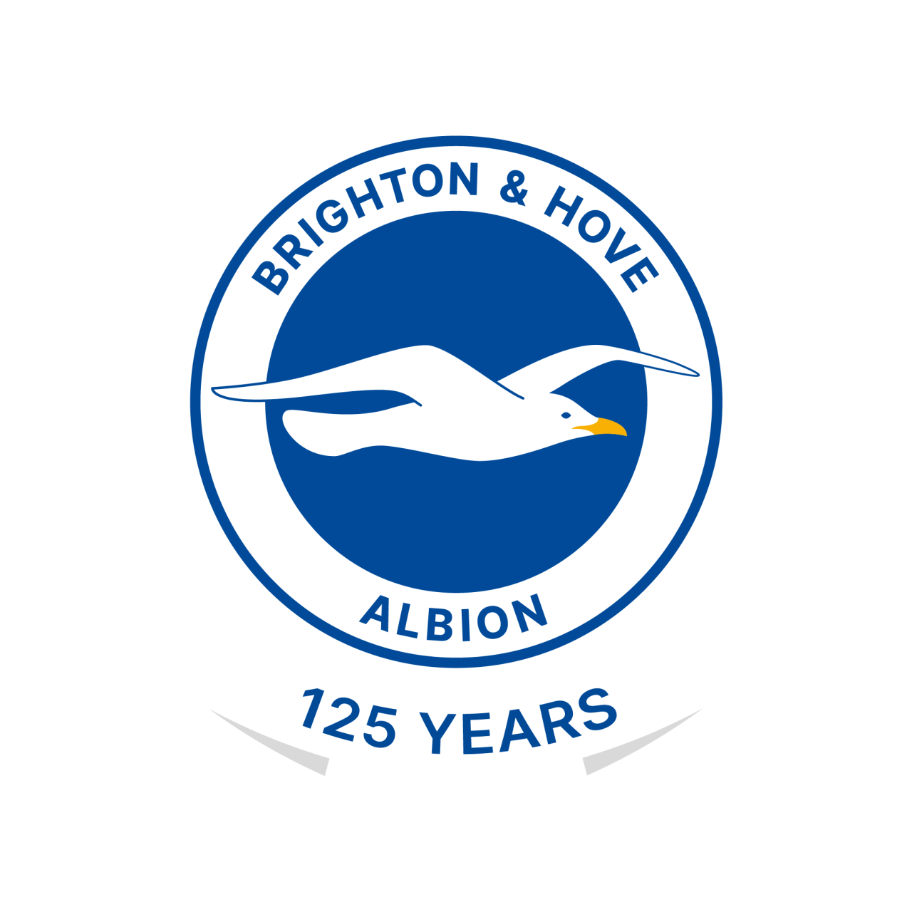 Brighton FC - Image 1