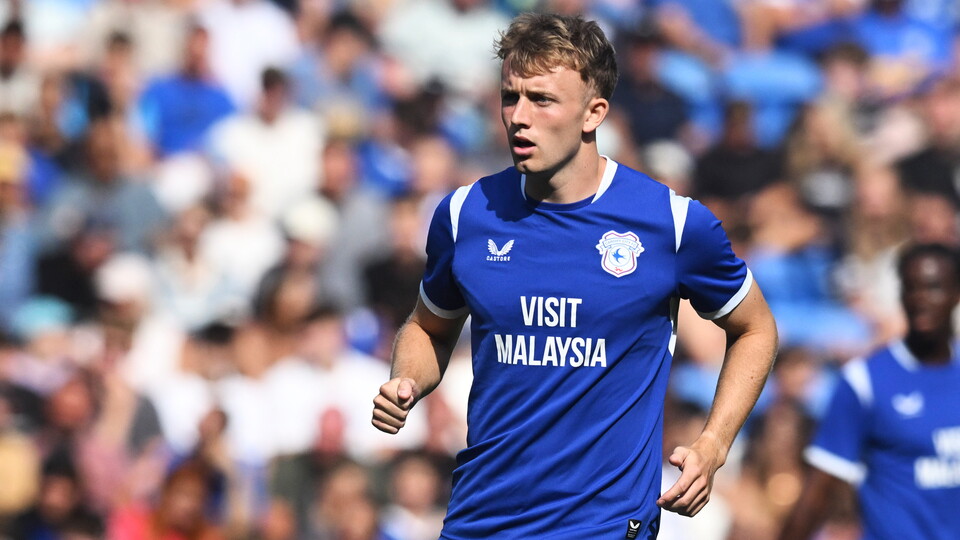 Cardiff City FC - Image 1