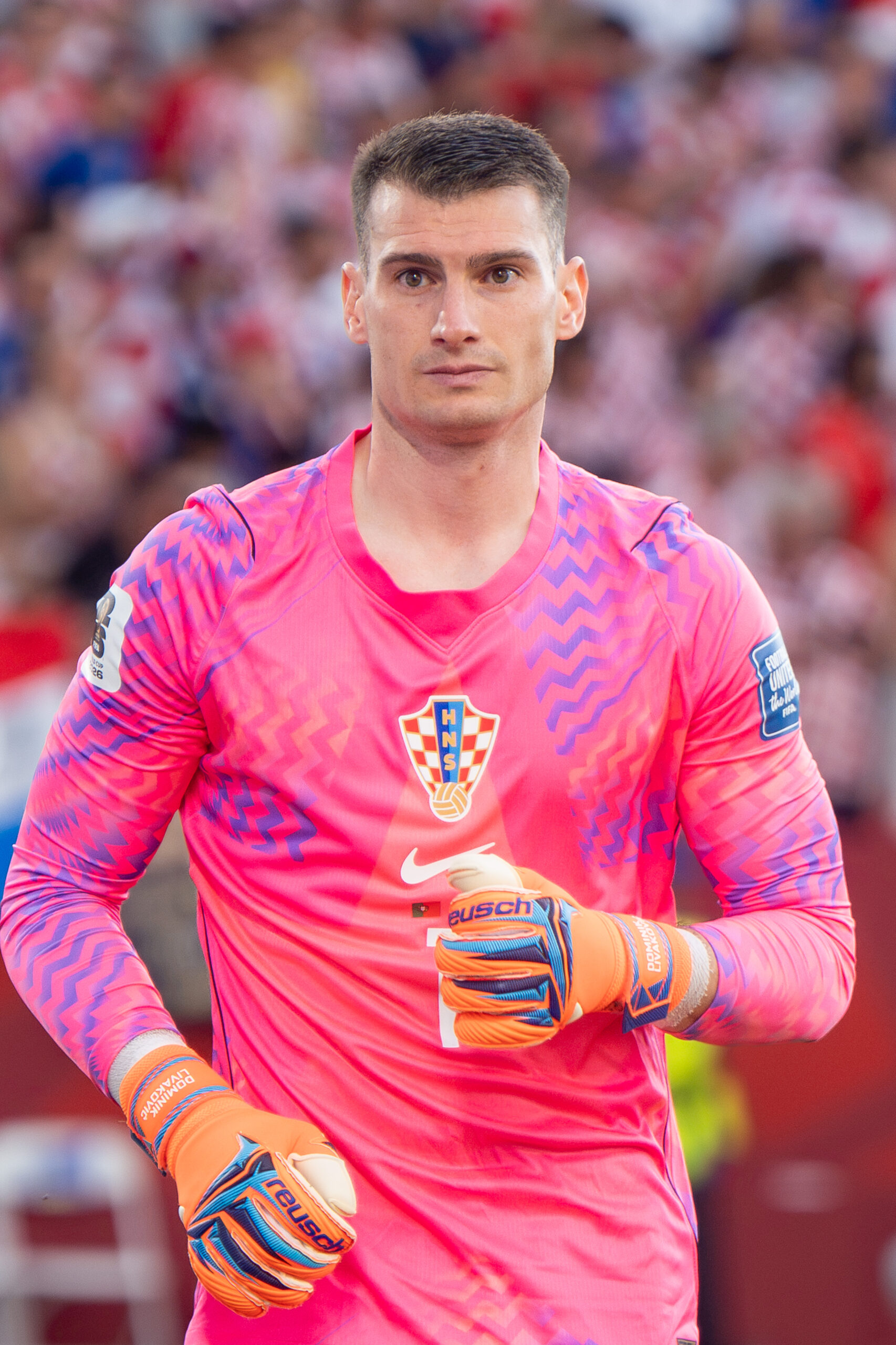 Cầu thủ Dominik Livakovic