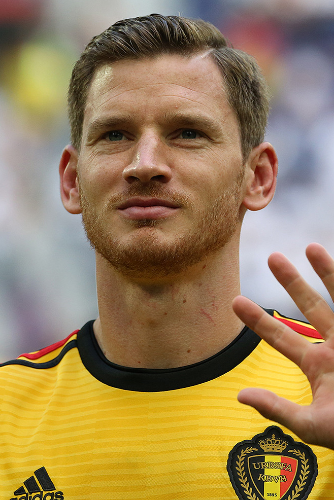 Cầu thủ Jan Vertonghen - Image 2