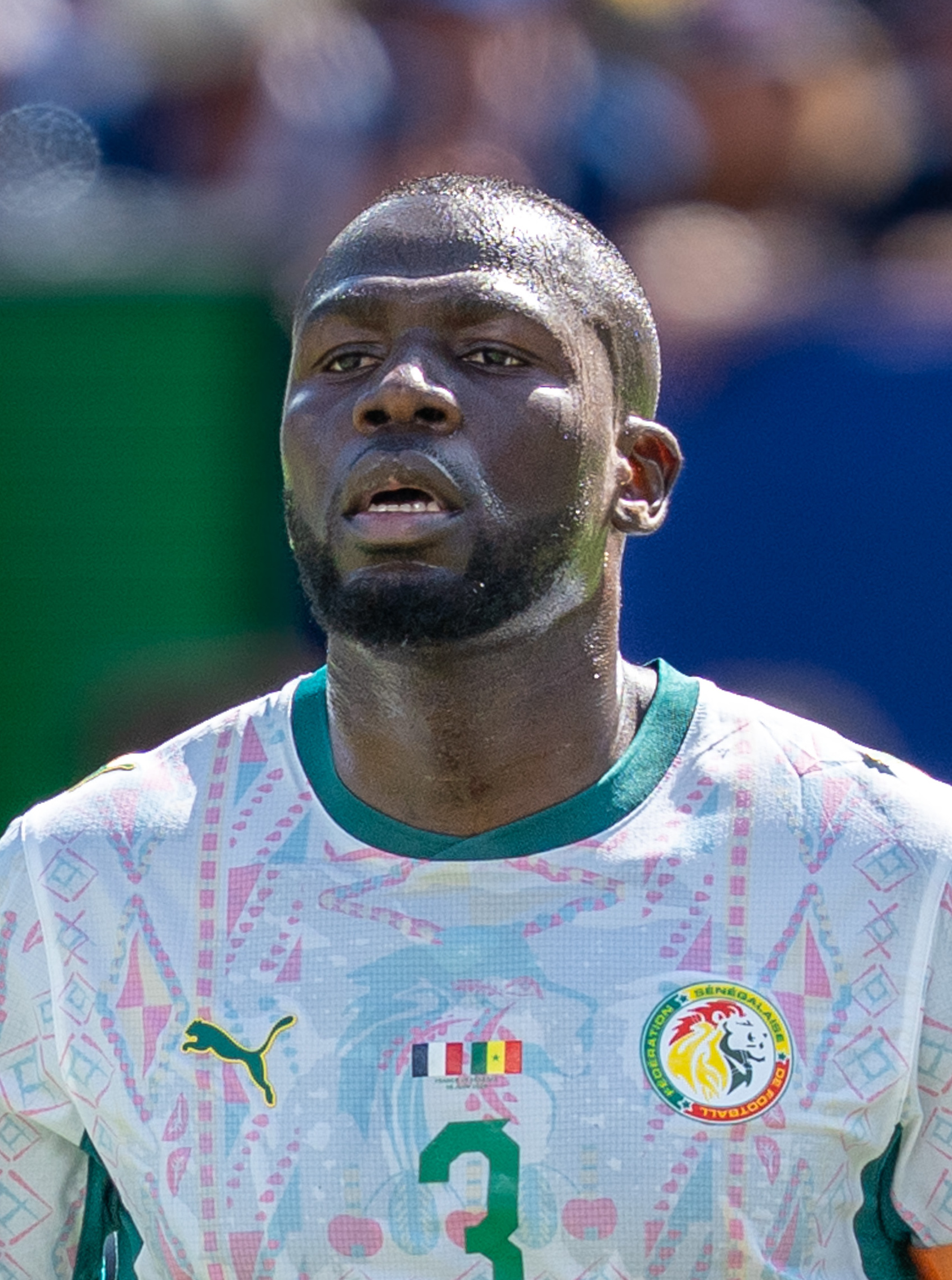 Cầu thủ Kalidou Koulibaly - Image 1