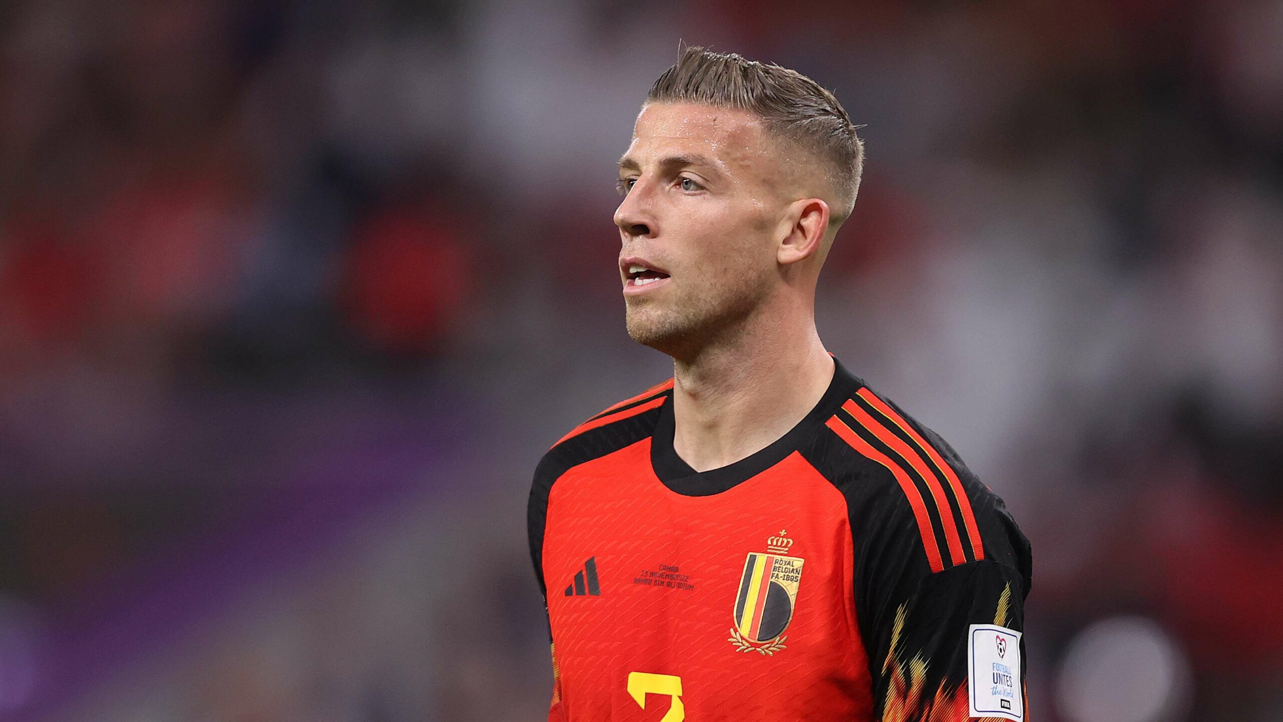 Cầu thủ Toby Alderweireld - Image 4