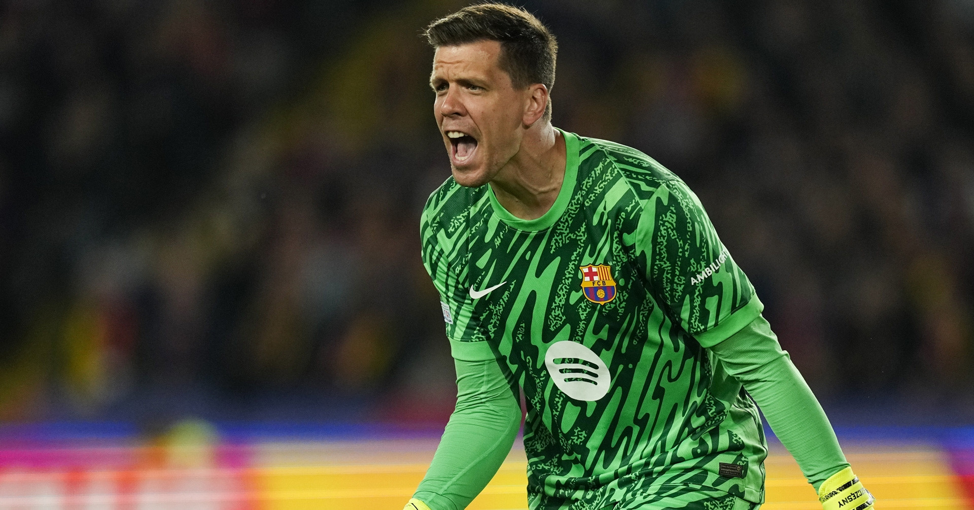 Cầu thủ Wojciech Szczesny - Image 3