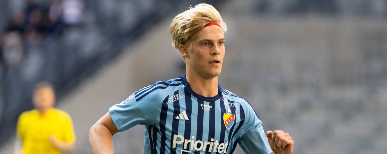 Djurgarden IF FC - Image 5