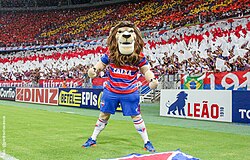 Fortaleza FC - Image 3