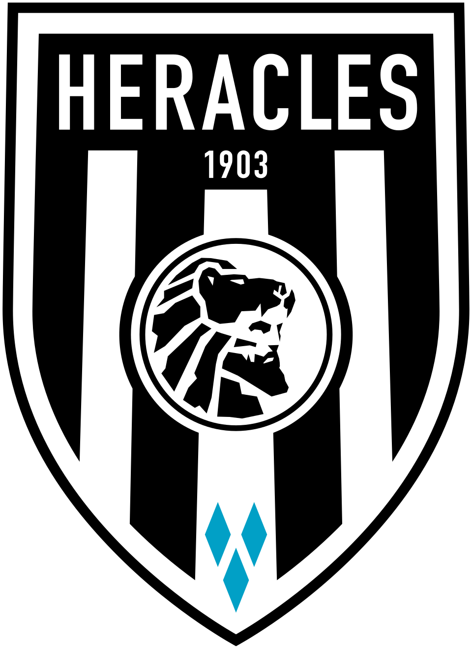 Heracles Almelo FC - Image 1