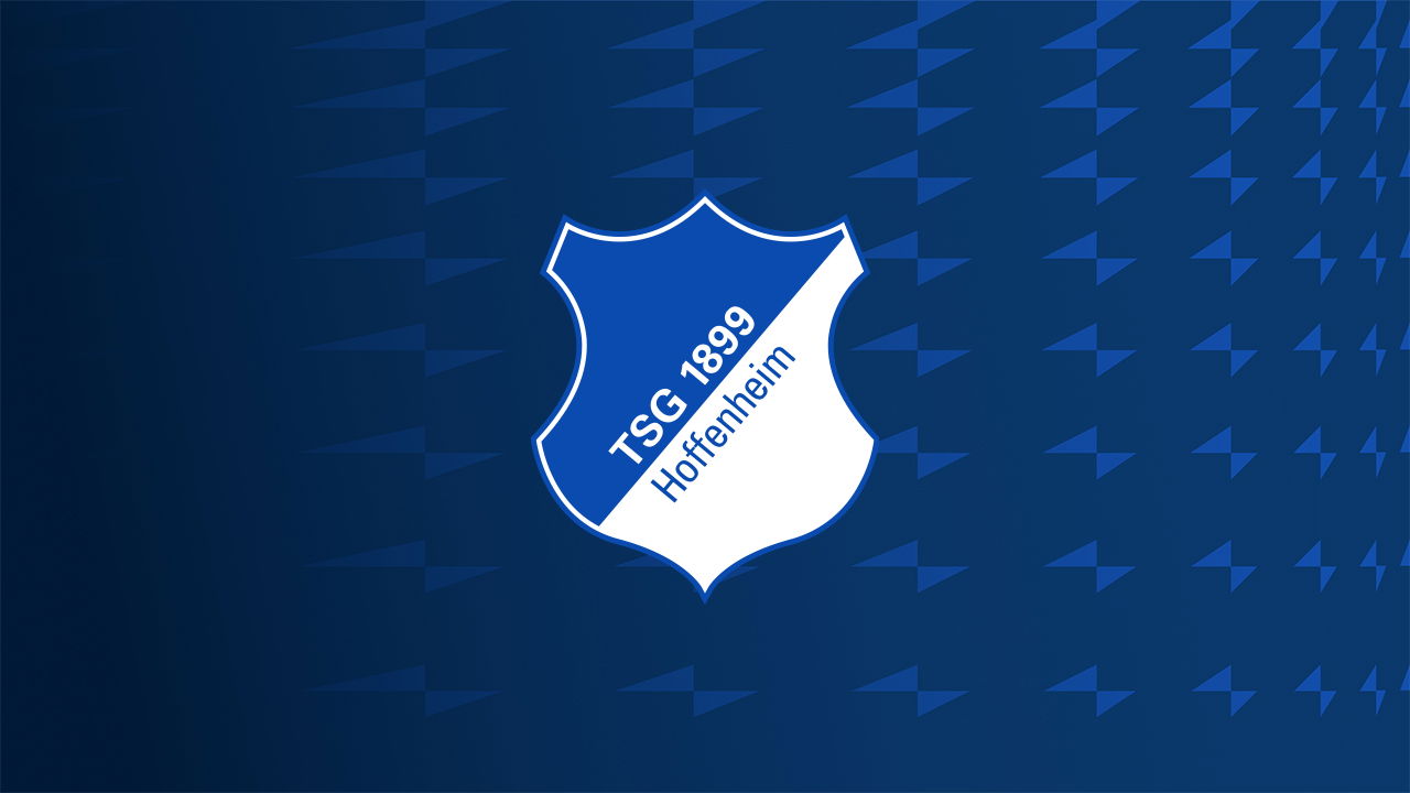 Hoffenheim FC - Image 2