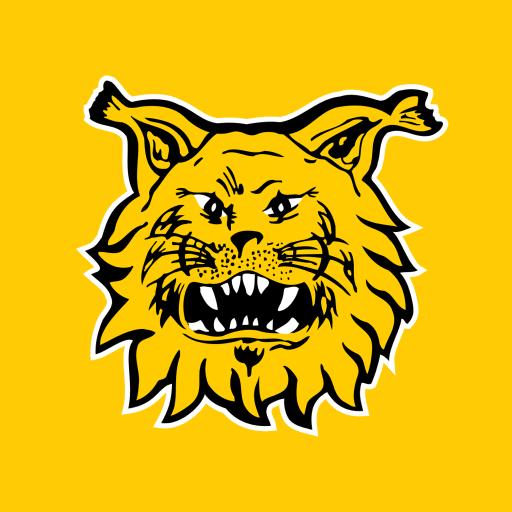 Ilves FC - Image 2
