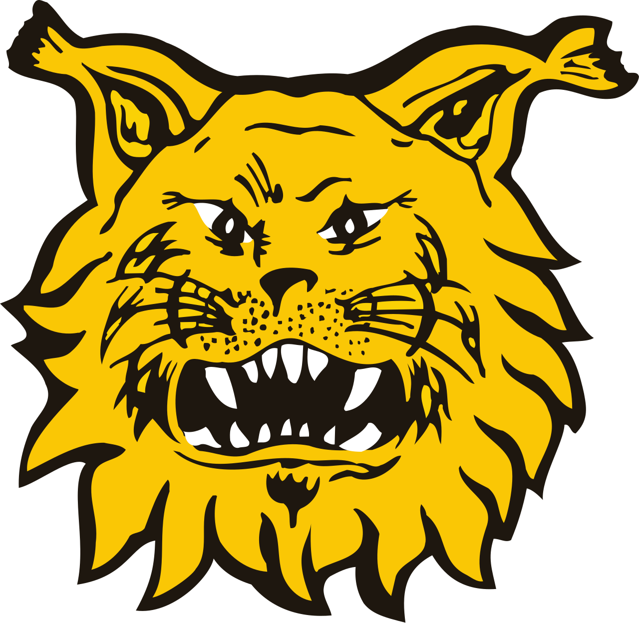 Ilves FC - Image 1