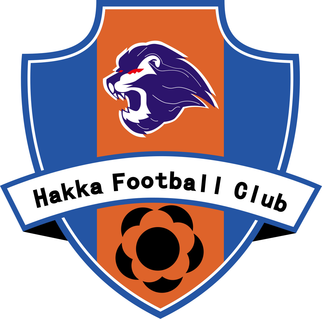 Meizhou Hakka FC - Image 1