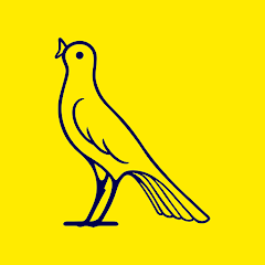 Modena FC - Image 2