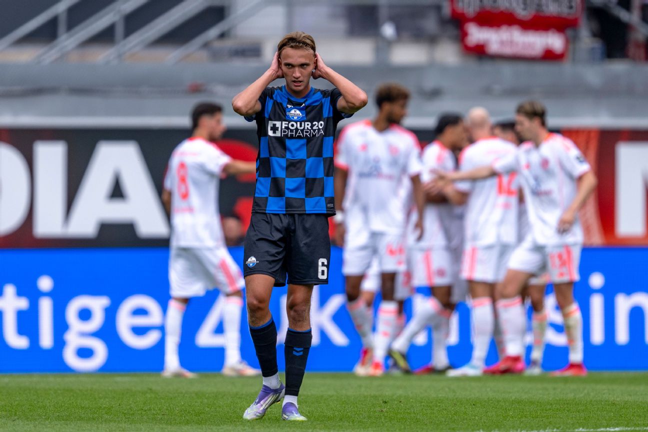Paderborn FC - Image 3