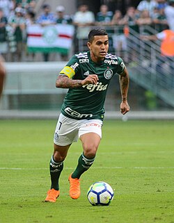 Palmeiras FC - Image 2
