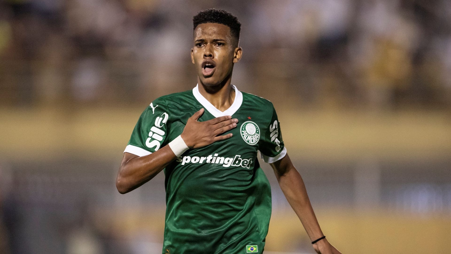Palmeiras FC - Image 4