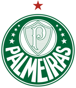 Palmeiras FC - Image 1