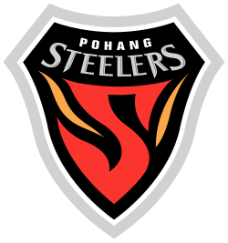 Pohang Steelers FC - Image 2