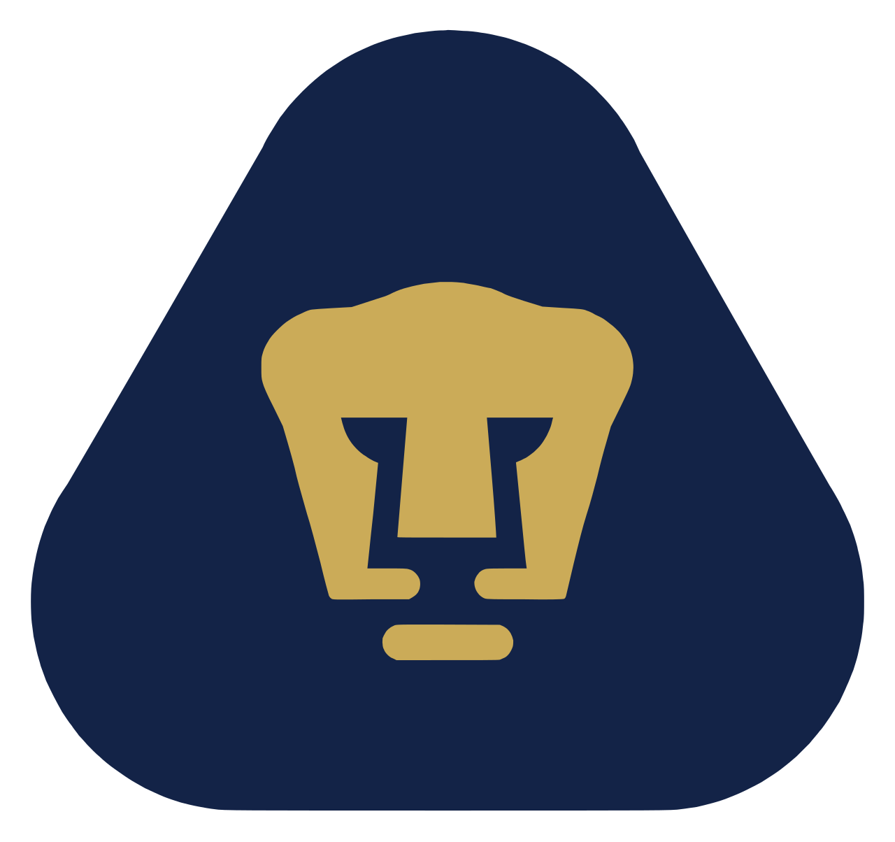 Pumas UNAM FC - Image 1