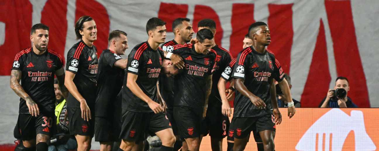 Red Star Belgrade FC - Image 4