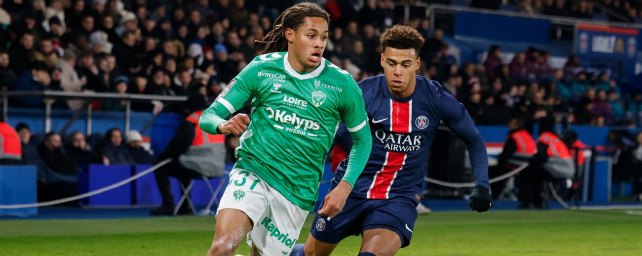 Saint-Etienne FC - Image 2