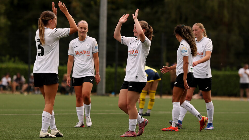Swansea City AFC - Image 3
