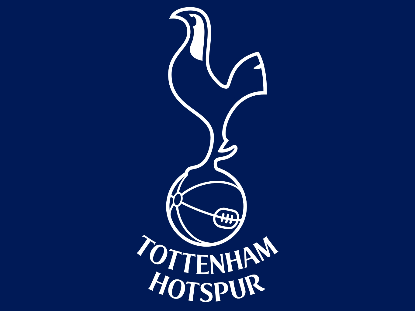Tottenham Hotspur FC - Image 4
