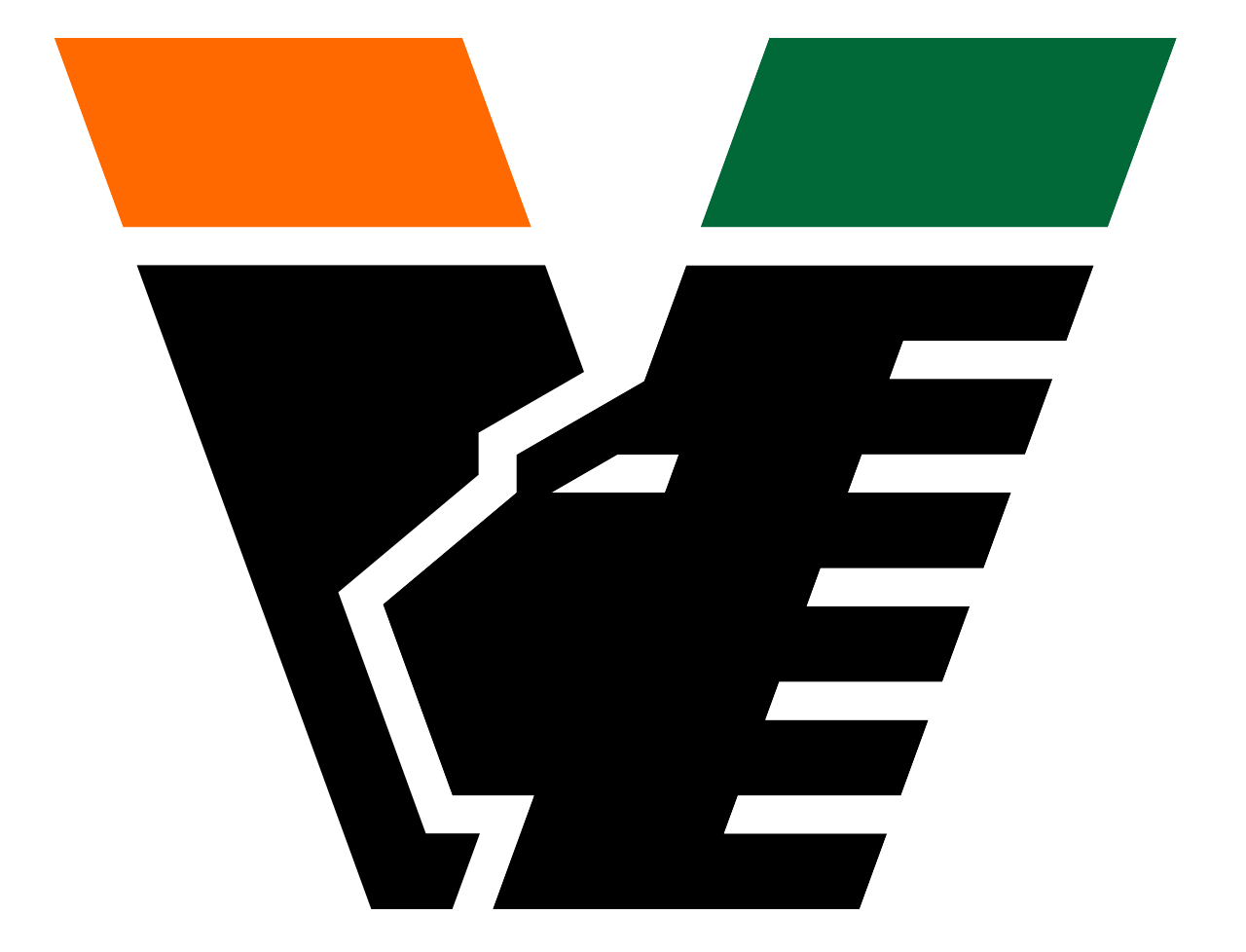 Venezia FC - Image 2