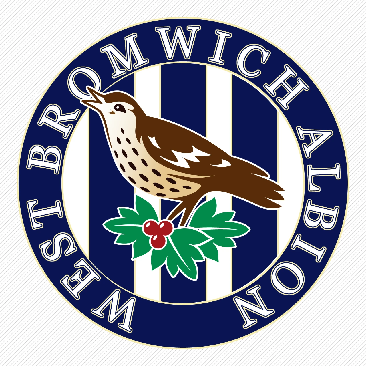 West Bromwich Albion FC - Image 5