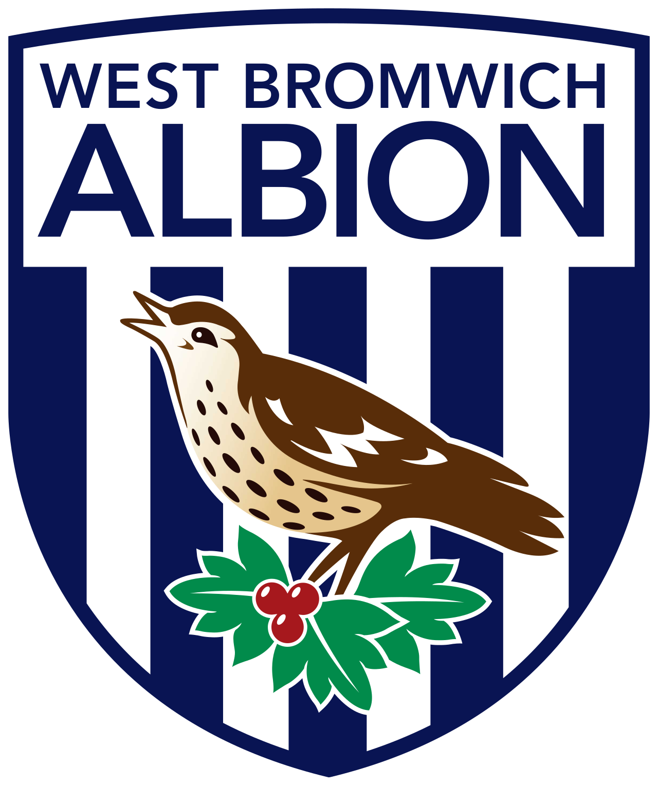 West Bromwich Albion FC - Image 1