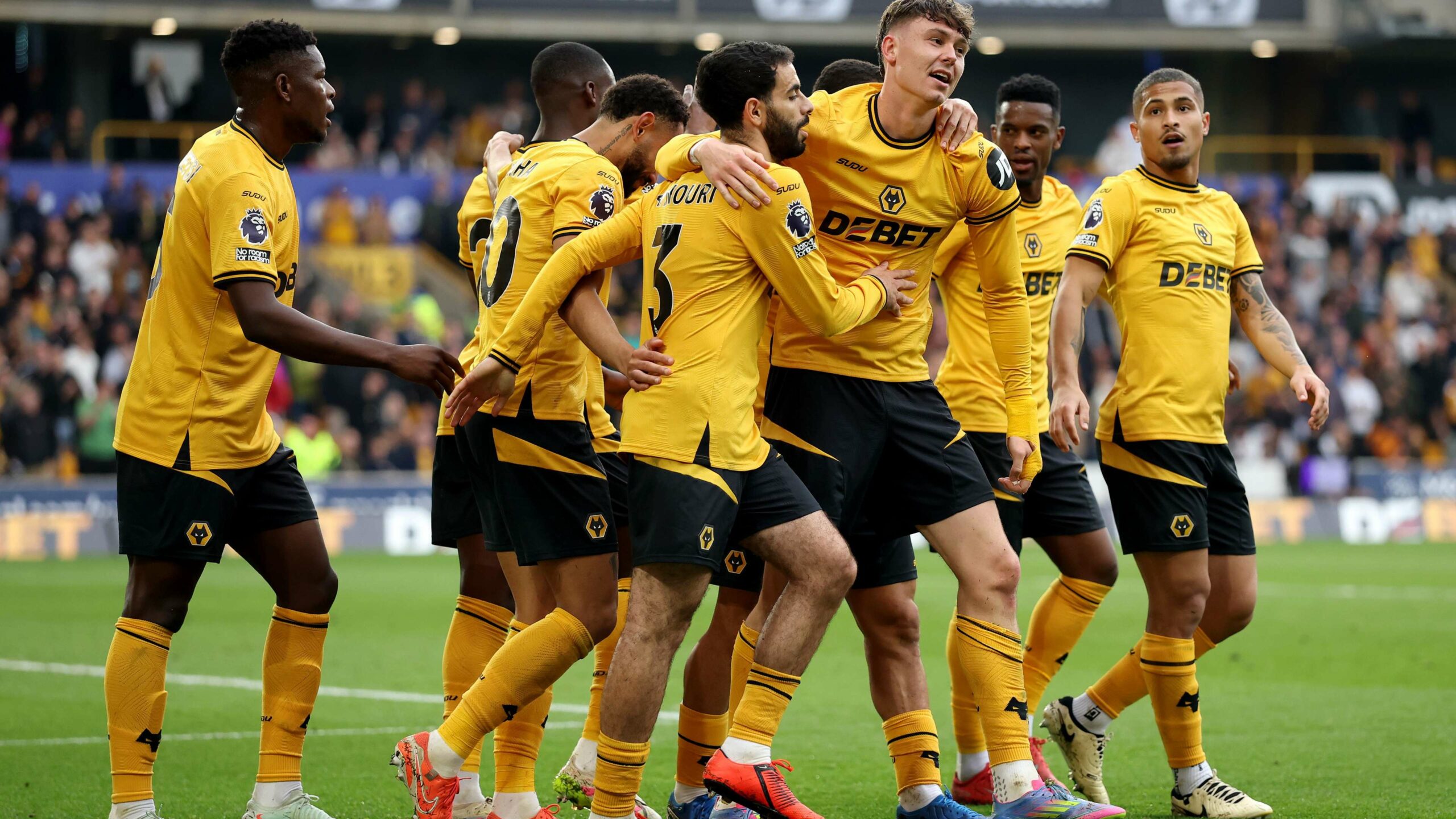 Wolverhampton Wanderers FC - Image 2