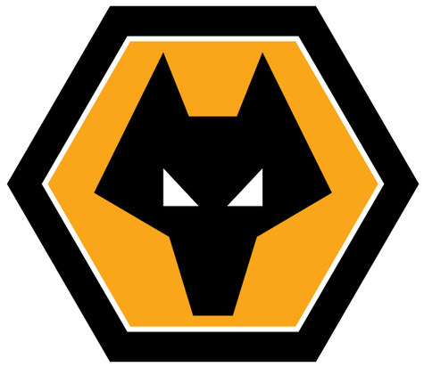 Wolverhampton Wanderers FC - Image 1